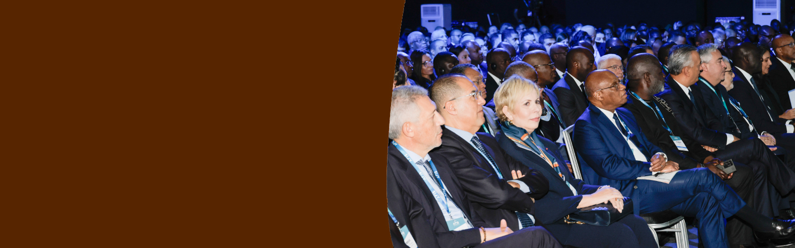 Africa Financial Industry Summit (AFIS 2025)